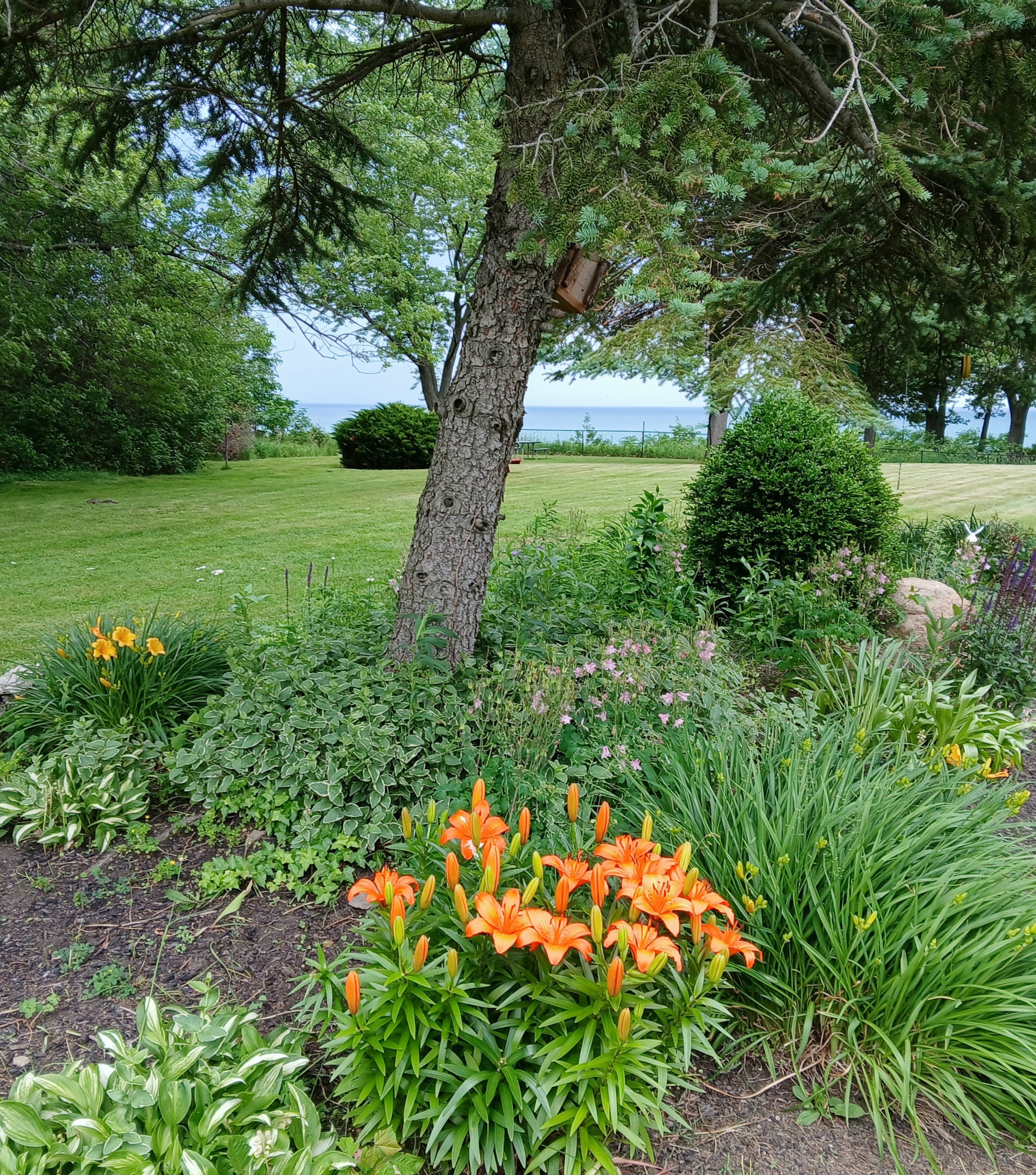 Summer Garden Along Lake Erie